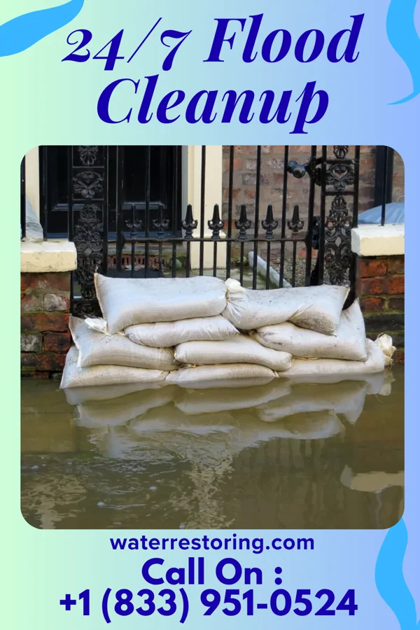 24/7 Flood Cleanup in Nottoway Court House, VA