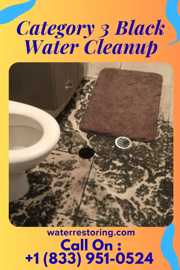 Category 3 Black Water Cleanup in Nottoway Court House, VA