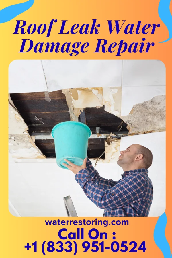 Roof Leak Water Damage Repair in Nottoway Court House, VA