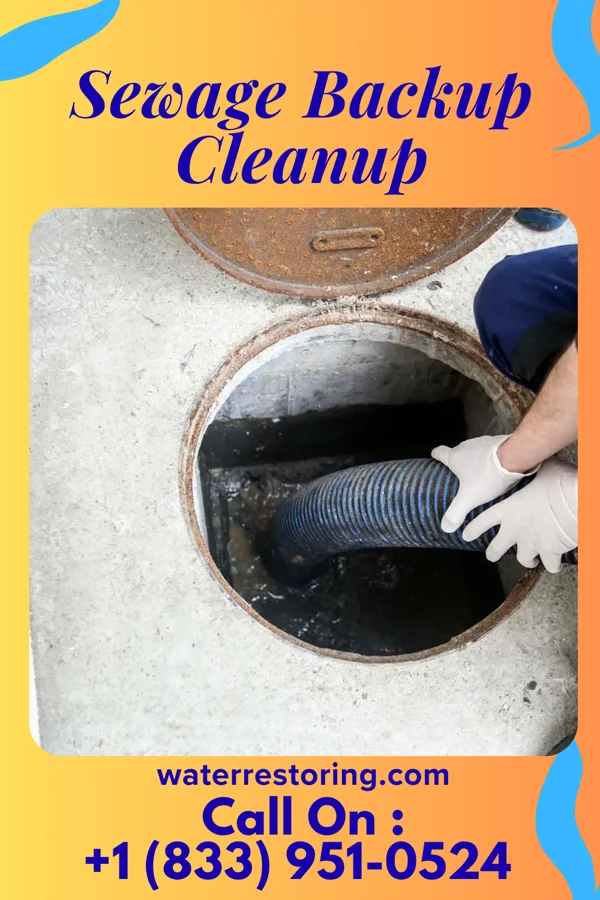 Sewage Backup Cleanup in Nottoway Court House, VA